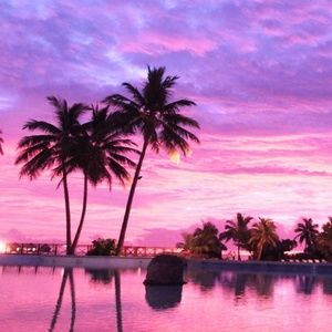 Meet your Posher, Brigette